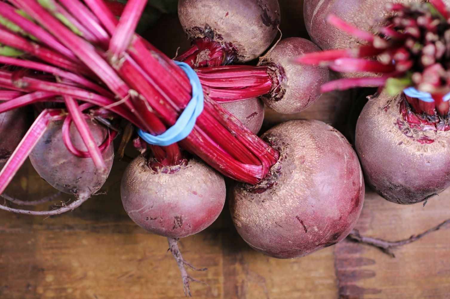 Dehydrated beets for discount dogs