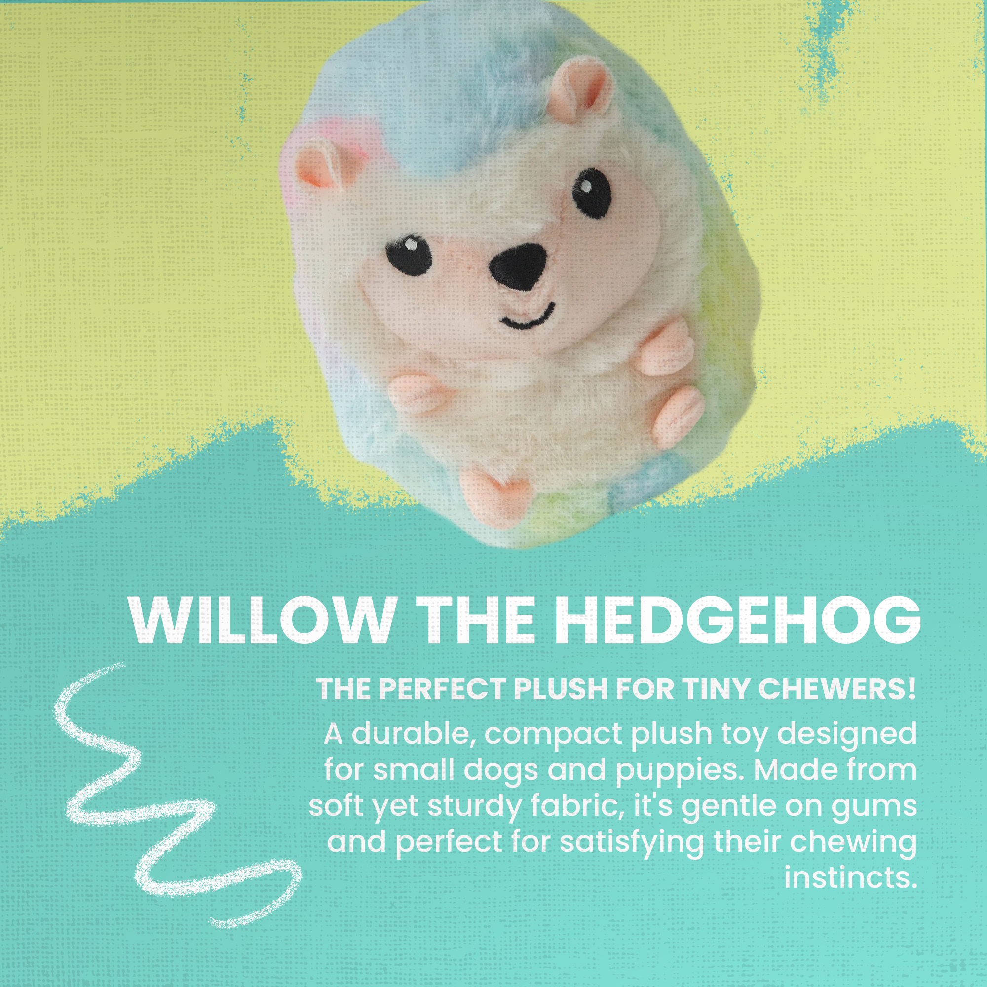 Willow the Hedgehog