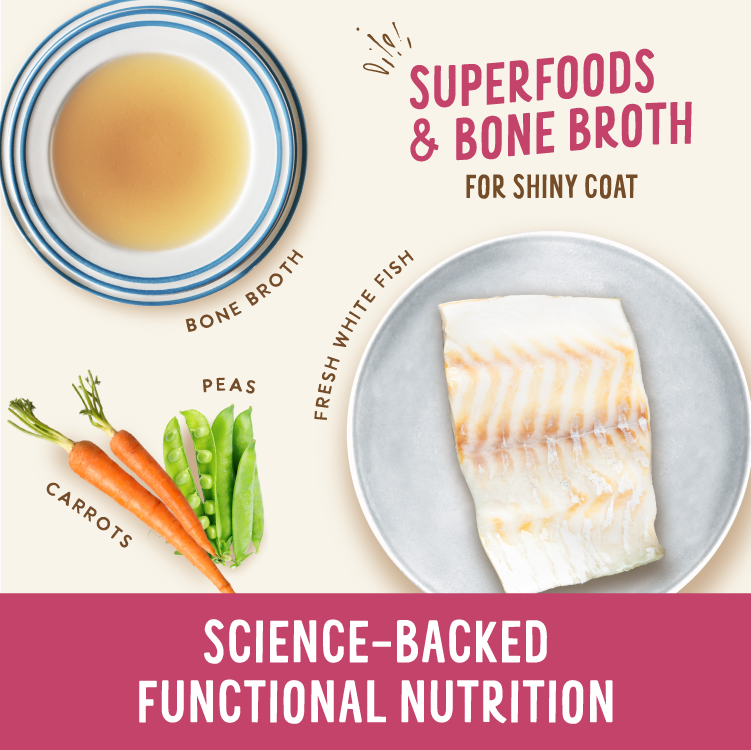 Broth-Licious Ocean Fish in Bone Broth -Shiny Coat Recipe for Adult Dogs