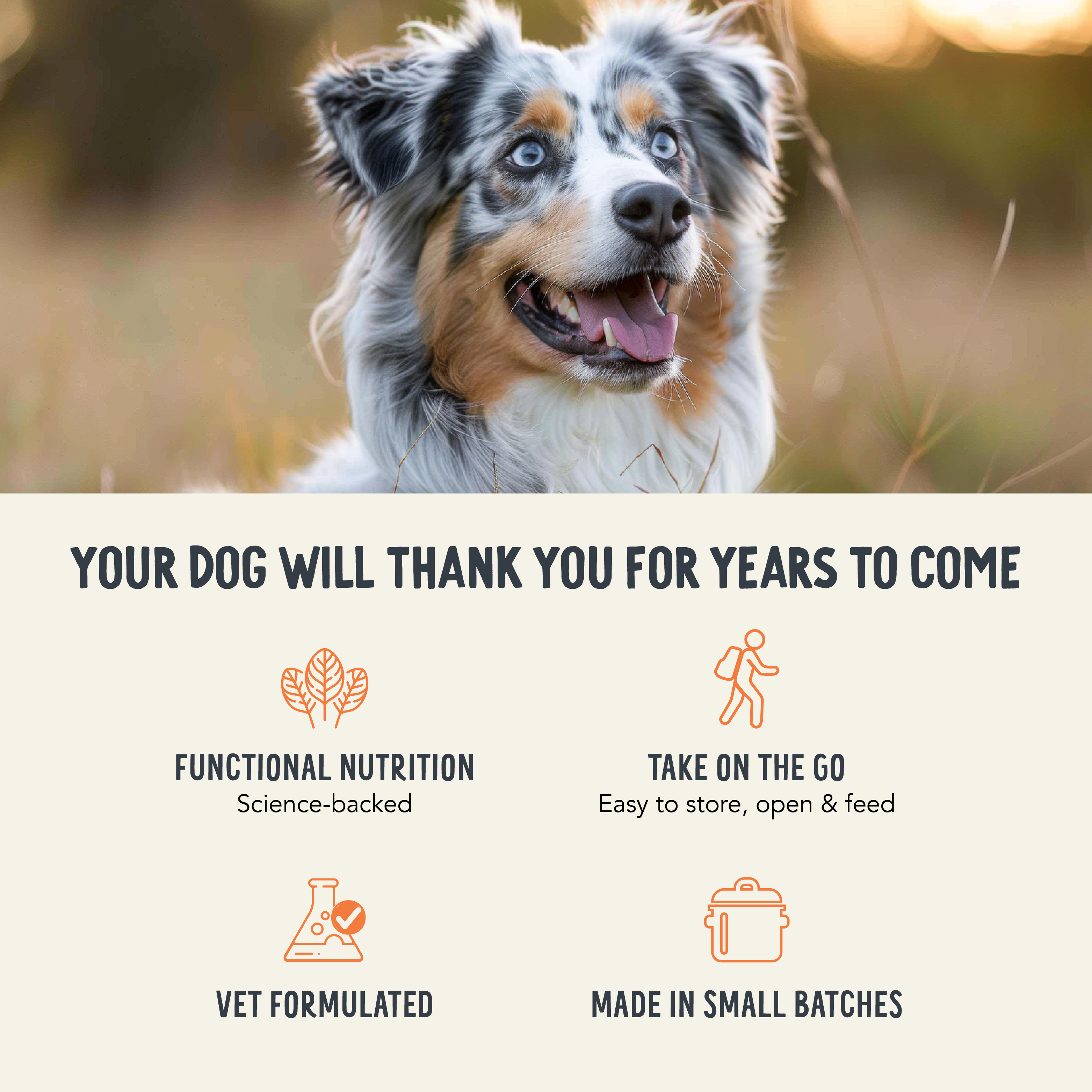 Photo of dog & explanation benefit of feeding this to your dog like easy to take on the go, made in small batches, vet formulates, and functional nutrition.