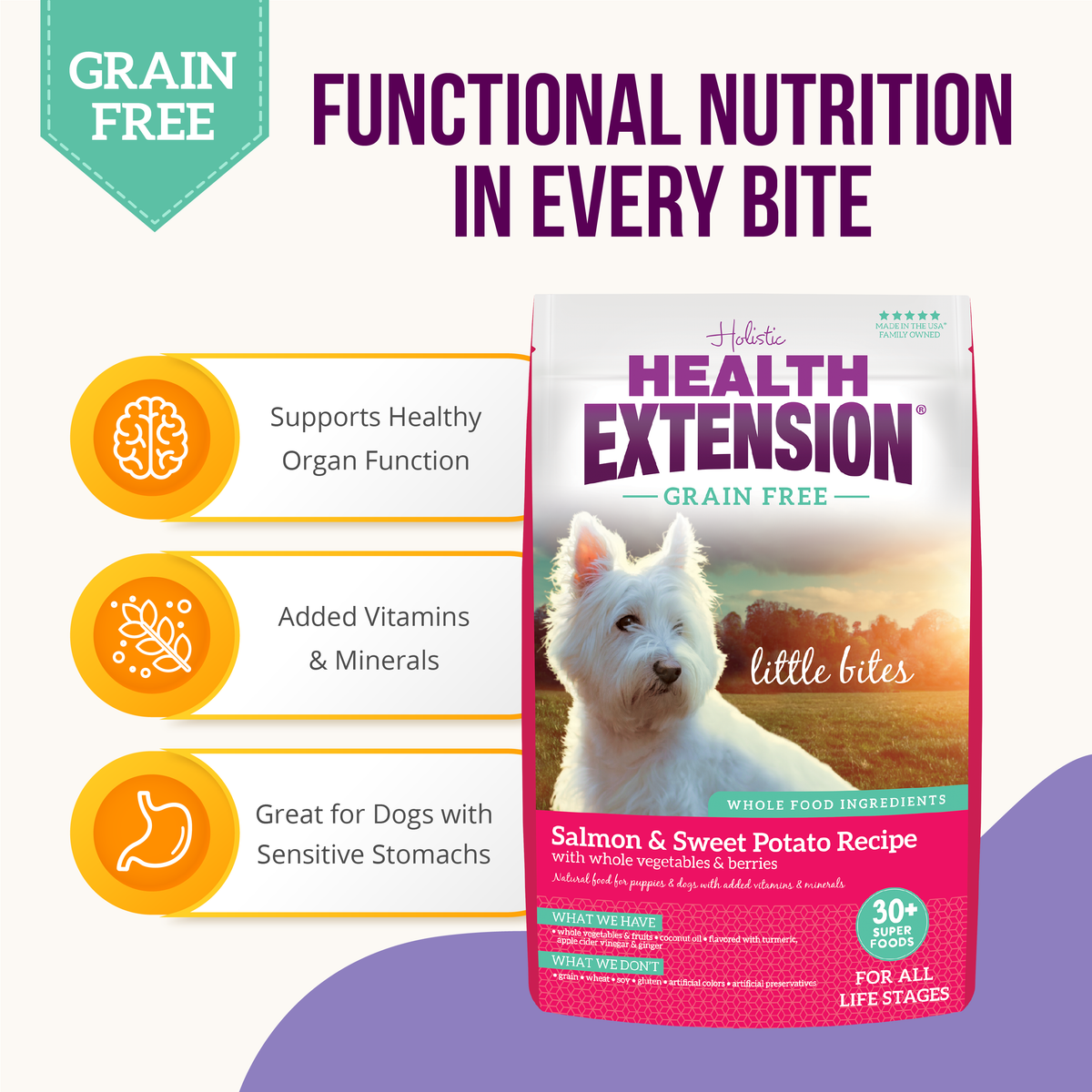 Health Extension Grain Free Salmon Little Bites Dry Dog Food