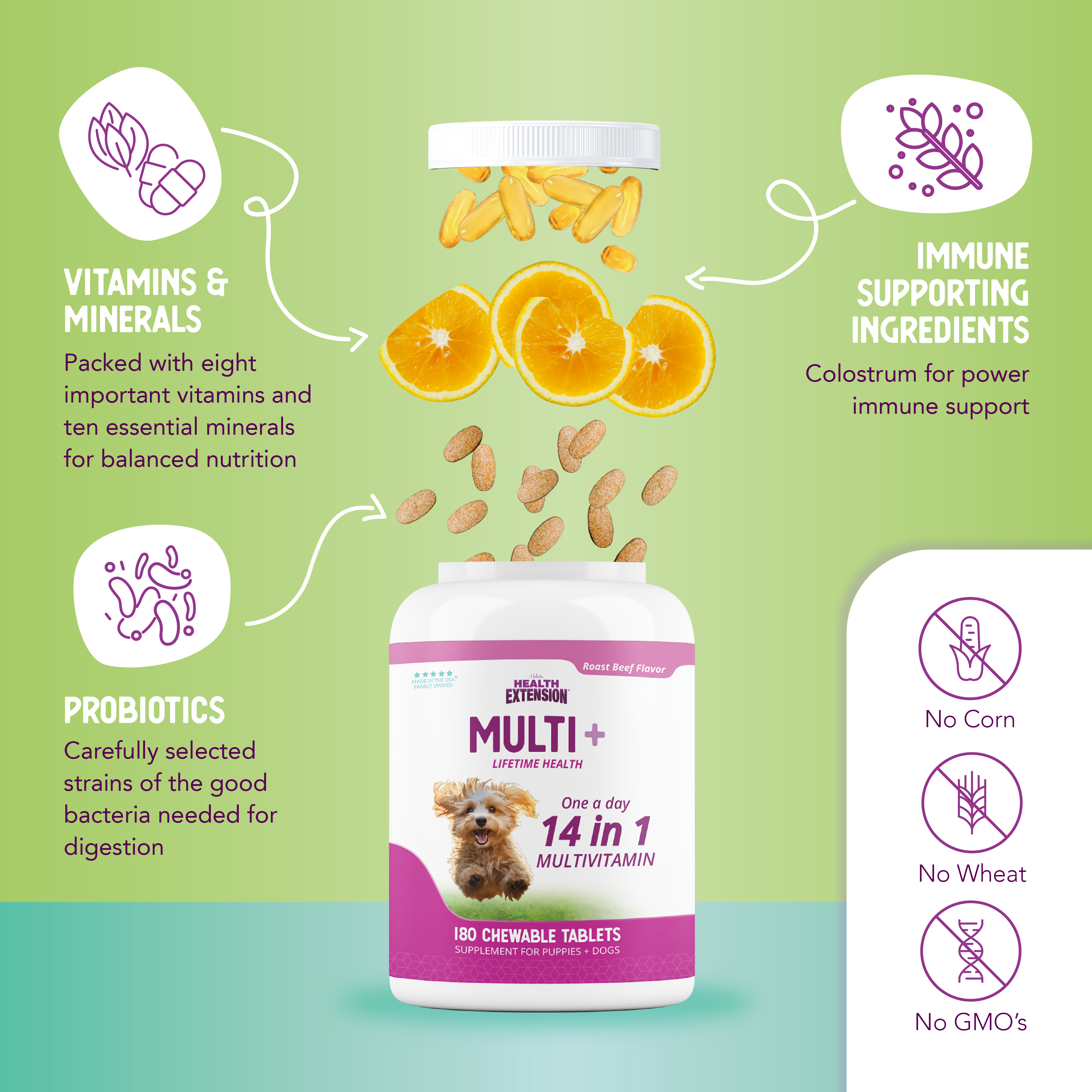 Infographic showing vitamins, minerals, probiotics, and other immune supporting ingredients in lifetime vitamins