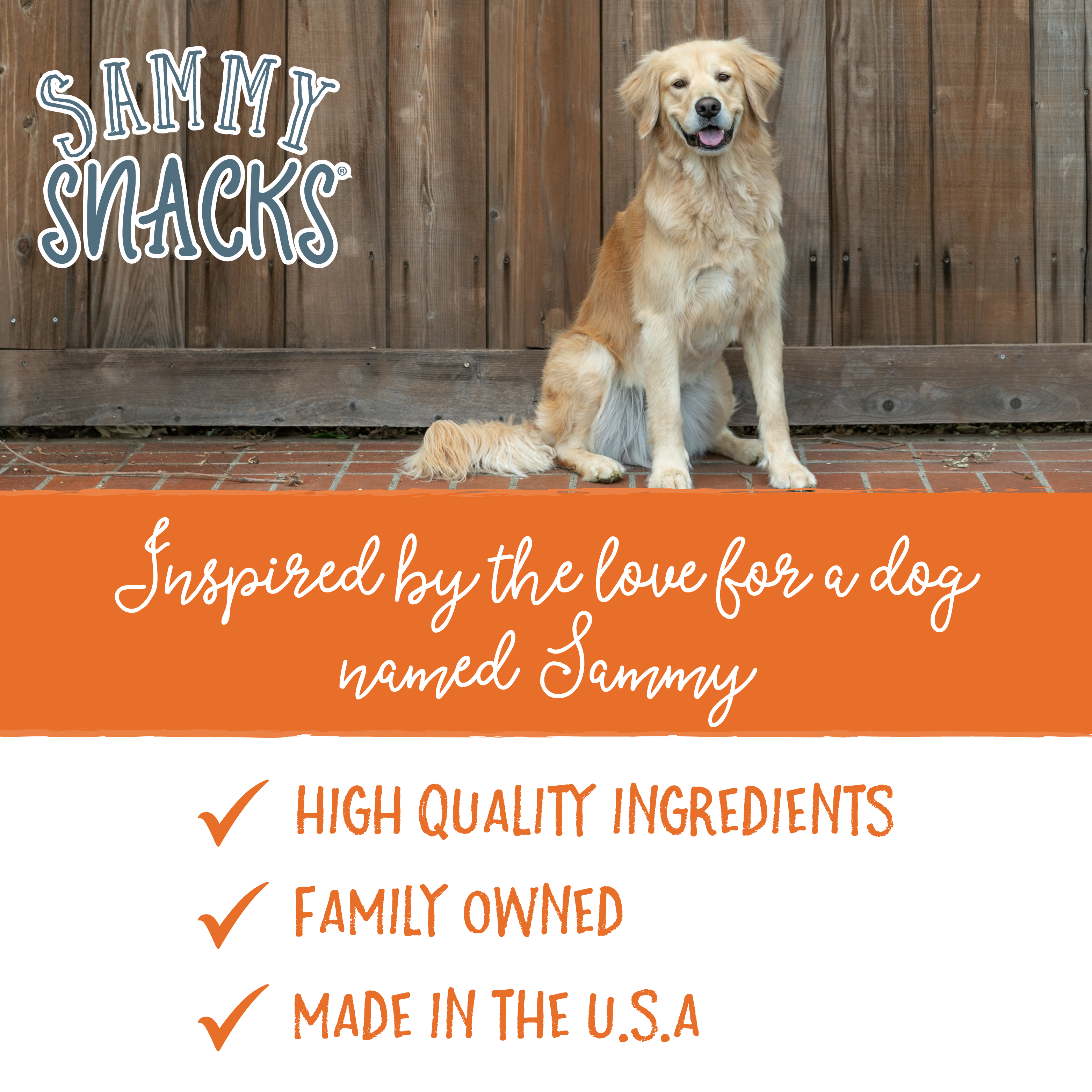 Sammy Snacks With Pumpkin